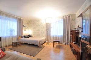 纳尔瓦Grafovi Apartments的一间卧室配有一张床和一台电视