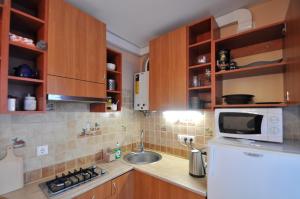 纳尔瓦Grafovi Apartments的厨房配有木制橱柜和白色冰箱。