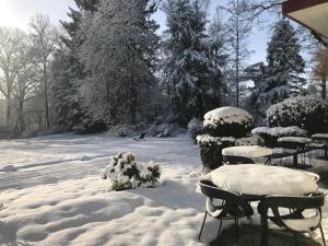 斯帕海德帕尔酒店的雪地里,有桌椅的院子