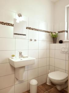 KaltenhofBernsteinhof的白色的浴室设有水槽和卫生间。