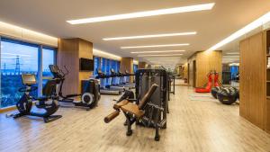 Jiangning南京上秦淮假日酒店 的大楼内带跑步机和健身器材的健身房