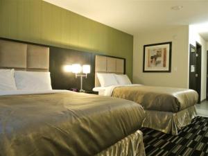 CarlyleWestern Star Inn and Suites Carlyle的酒店客房设有两张床和两盏灯。