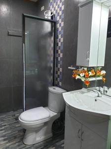 曼巴豪Camiguin KALIMBA DE LUNA INN的浴室配有卫生间、盥洗盆和淋浴。