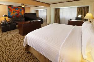 蒙特雷北蒙特雷假日酒店的配有一张床和一台平面电视的酒店客房