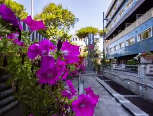 罗马BV Hotel Oly的街上的一束紫色花