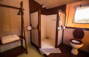 SekenaniOldarpoi Wageni Camp的一间带卫生间和淋浴的浴室