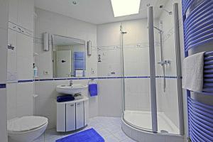 诺伊霍夫Villa Seestern _ Wohnung 10的一间带水槽、淋浴和卫生间的浴室