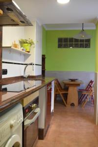 瓦伦西亚Casa Cabanyal的厨房设有绿色的墙壁、水槽和桌子