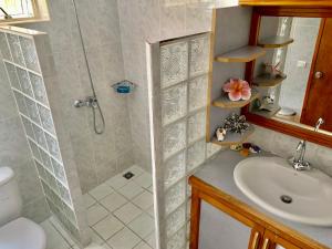 帕皮提费尔豪酒店的带淋浴和盥洗盆的浴室