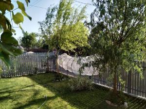 圣格奥尔基Casa Ina的两棵树的院子中的一个围栏