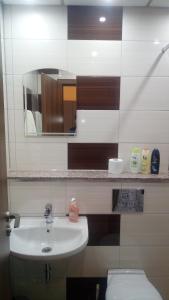 佩什泰拉Hotel Lago Peshtera的一间带水槽、卫生间和镜子的浴室