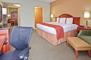 孟菲斯孟菲斯假日酒店 - 孟菲斯大学的酒店客房带一张大床和一把椅子