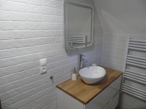 哈沃福卡Chata Habovka的白色的浴室设有水槽和镜子