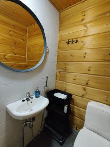 库奥皮奥劳哈拉赫蒂度假村的一间带水槽、卫生间和镜子的浴室