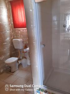 HondeklipbaaiHonnehokke Resort的一间带卫生间和淋浴的浴室