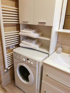 雅西Charming apartment in villa的洗衣房配有洗衣机和水槽
