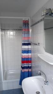 巴尔特鲁姆Seevilla Wietjes Whg 6的一间带水槽和淋浴帘的浴室