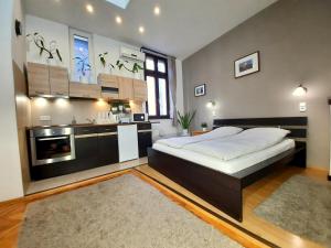 布达佩斯中央金子公寓的一间设有床铺和厨房的大卧室
