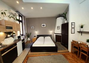 布达佩斯中央金子公寓的卧室中间设有一张床
