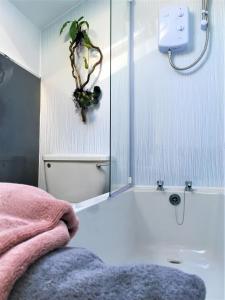 里辛Heron's View的浴室配有浴缸,墙上挂有植物