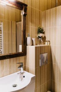 雷瓦Checz Kole Szperka的一间带水槽和镜子的浴室