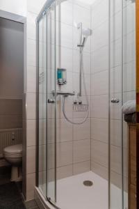 比特堡BIT-City Studio und Appartement的设有带卫生间的浴室内的淋浴间