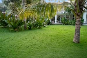 卡兰古特Andores Resort And Spa - Calangute的一座房子前面的绿色庭院,上面有棕榈树