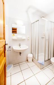 旺格兰Frieslandstern - Ferienhof und Hotel的带淋浴和盥洗盆的浴室