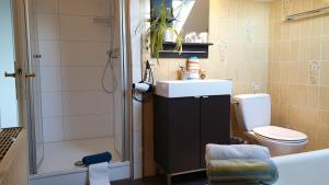 巴特欧波索奈霍格尔酒店的一间带水槽、淋浴和卫生间的浴室