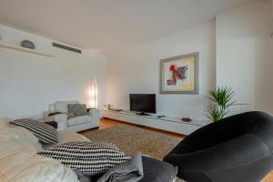 巴塞罗那CCIB论坛豪华公寓的带沙发和电视的客厅