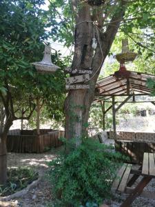 奥林波斯Olympos Yakamoz Pansiyon的树上的一个标志,上面有鸟房