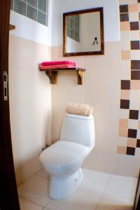 科恰班巴奔跑的查士奇旅舍的浴室设有白色的卫生间和镜子
