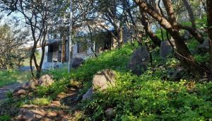 温基约Casa en las Sierras de Córdoba的山丘上一座有岩石和树木的房子