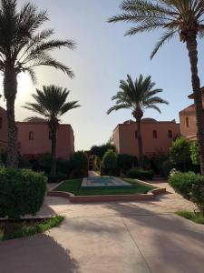 马拉喀什Villa avec piscine a Marrakech的庭院里的一棵棕榈树