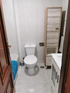 马林Casa Álvaro的一间带卫生间和水槽的小浴室