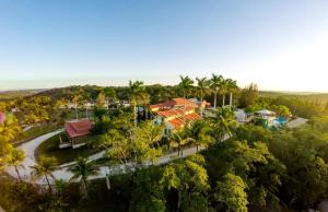 圣伊格纳西奥Rumors Resort Hotel的棕榈树度假村的空中景致