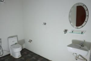 ThirunelliKOOMANKOLLY RESORT的一间带卫生间、水槽和镜子的浴室