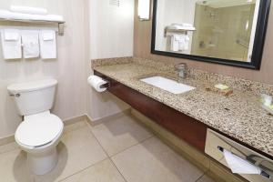 埃莫西约埃莫西约阿罗普假日套房酒店的一间带卫生间、水槽和镜子的浴室