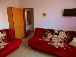 切米诺Mieszkanie Wakacyjne Adam的客厅配有红色沙发和电视