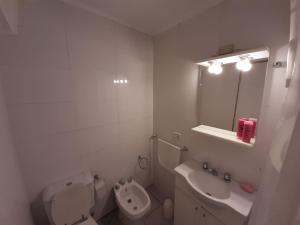 门多萨Apartamento centrico amueblado的一间带卫生间、水槽和镜子的浴室