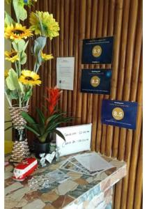 圣胡安海风海滨之家和度假小屋的墙上挂着鲜花和证书的桌子