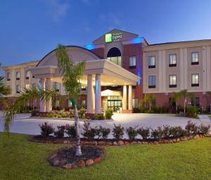 迪尔帕克Holiday Inn Express & Suites Deer Park, an IHG Hotel的一座建筑前有棕榈树的酒店