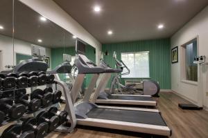 米德尔伯勒雷纳姆米德尔伯勒快捷假日&套房酒店的健身房设有跑步机和绿色墙壁