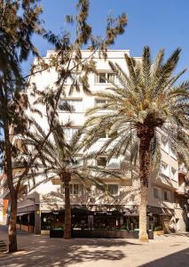 巴塞罗那Sixties Ramblas的两棵棕榈树,在一座建筑前