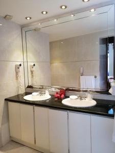 圣多明各帕拉西奥精品酒店的一间带两个盥洗盆和大镜子的浴室