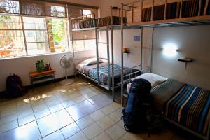瓜达拉哈拉查普尔特佩克旅舍的客房设有两张双层床和一扇窗户。