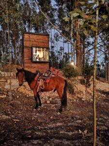 派帕El Bosque de Paipa的站在小房子前面的马