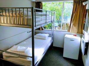 奥克兰基督教青年会旅馆的双层床间 - 带两张双层床和一扇窗户