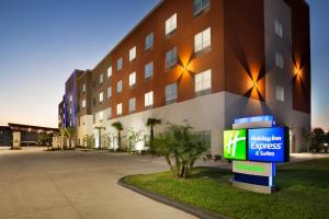 麦卡伦Holiday Inn Express & Suites - McAllen - Medical Center Area, an IHG Hotel的前面有标志的建筑