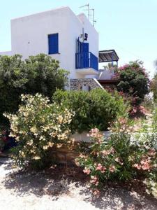 德里奥斯Village house in Paros的白色的房子,有蓝色的窗户和灌木丛